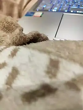 Bemgalado online show from January 3, 8:22 pm