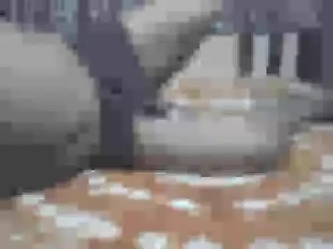 LoVer04All online show from October 21, 1:14 pm