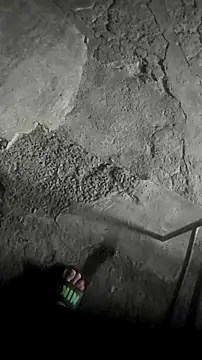 mendelicius online show from May 6, 3:29 am