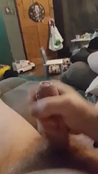 tezbear online show from January 9, 5:34 am