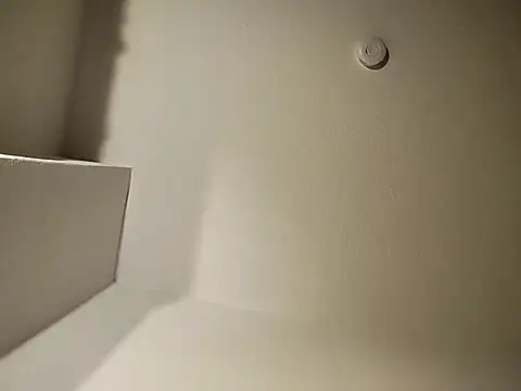 Dennis 2024 online show from January 11, 5:51 pm