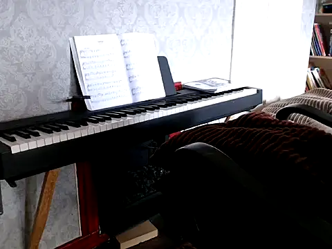 MrStraightDik online show from February 25, 12:45 pm