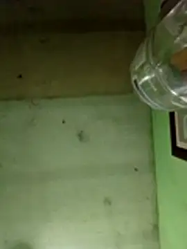 Alonsomadeira online show from December 17, 6:09 am