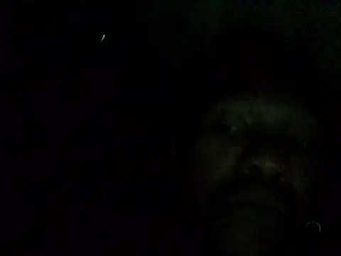 NonhumanButtery online show from April 30, 9:19 pm