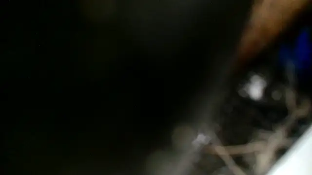 Gigadickman online show from December 3, 12:22 am