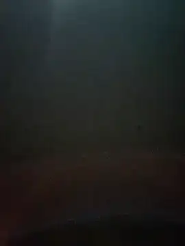 Snapshot of cumshotboy01 chatting on December 16, 3:54 pm cumshotboy01 online show from December 16, 3:54 pm