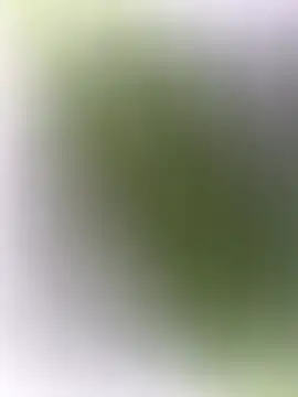 Snapshot of mrwright878787 chatting on December 27, 7:14 pm mrwright878787 online show from December 27, 7:14 pm