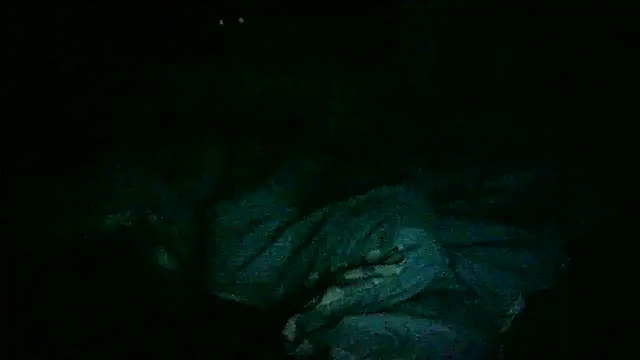 DI4MOND FIR3 online show from November 9, 7:56 am