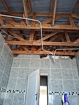 LaughRiotX online show from October 30, 11:00 am