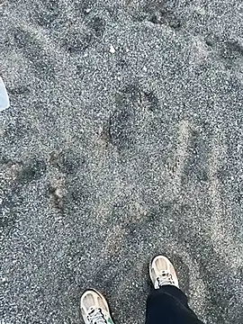 charlye inkkkk online show from January 21, 5:16 pm