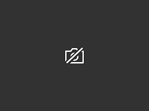 anakondix online show from January 15, 7:59 am