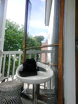 Snapshot of QcMisterv13 chatting on September 23, 5:45 pm QcMisterv13 online show from September 23, 5:45 pm