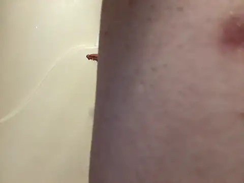 Snapshot of ChillzPnp chatting on March 4, 9:07 am ChillzPnp online show from March 4, 9:07 am