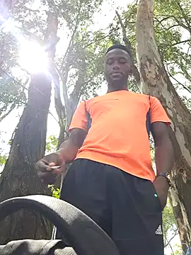 bull Giant online show from December 30, 7:15 am