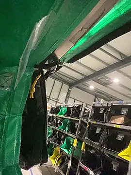 benben190 online show from February 5, 11:28 pm