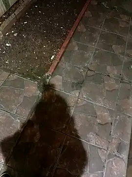 picadura1988 online show from September 14, 3:41 am