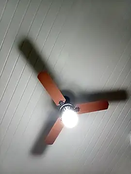 picadura1988 online show from September 22, 7:08 am