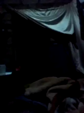 January256 online show from March 2, 10:39 pm