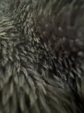 Luis0klk online show from March 13, 5:07 pm