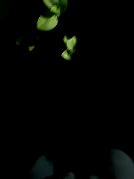 AloneDick online show from October 17, 1:04 pm