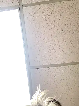 Tonybaloney1972 online show from October 31, 8:56 pm