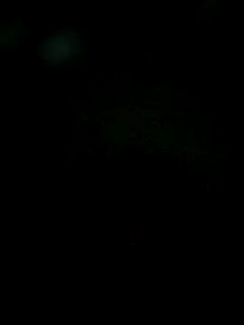 Snapshot of Karthik924 chatting on February 1, 6:19 pm Karthik924 online show from February 1, 6:19 pm