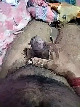 dick 01728 online show from February 28, 8:30 pm