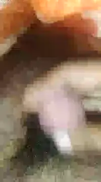 cjonybab online show from December 13, 1:26 am