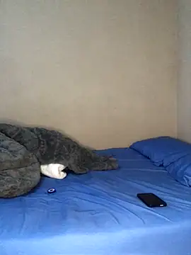 Snapshot of kinglorad chatting on October 27, 4:09 pm kinglorad online show from October 27, 4:09 pm