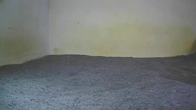 fern tlk online show from December 22, 8:14 pm