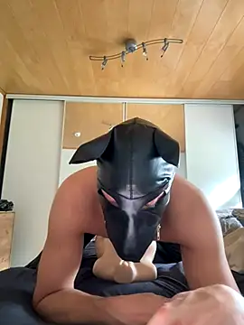 PlayDog123 online show from October 12, 12:32 pm