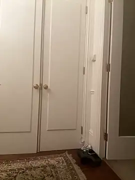 Snapshot of francaFerrariRoma chatting on December 28, 3:26 am francaFerrariRoma online show from December 28, 3:26 am