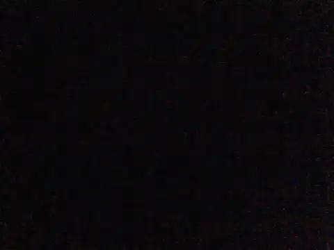 elsaiya online show from February 4, 2:17 am