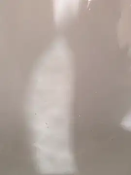 SensualG300 online show from February 12, 10:38 pm