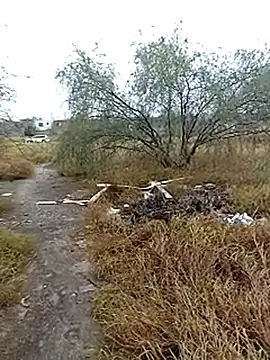 culoabiert67 online show from December 3, 2:49 pm