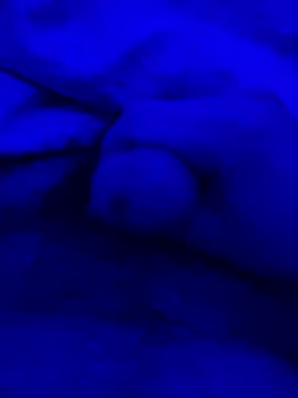 feuerfick online show from January 10, 6:42 am