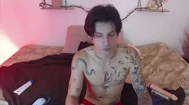 Snapshot of Apolo_Hidalgo01 chatting on January 6, 4:13 pm Apolo Hidalgo01 online show from January 6, 4:13 pm