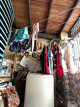 Leo bunny hot online show from September 15, 8:43 pm