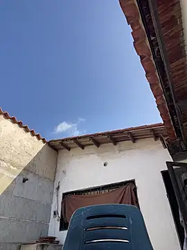 Leo bunny hot online show from November 12, 6:57 pm