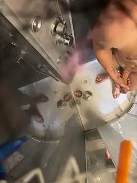 Snapshot of lescro95_ chatting on October 6, 2:22 pm lescro95  online show from October 6, 2:22 pm