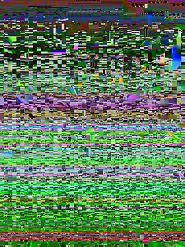 desiduzz21 online show from February 22, 11:24 am