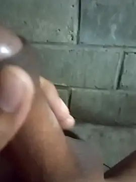 ga213333 online show from November 4, 3:46 pm