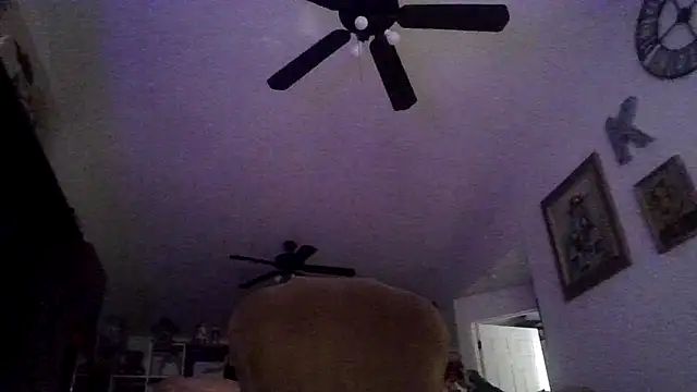 Amirkhai online show from December 20, 10:11 am