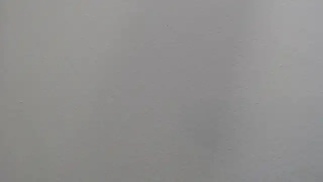 Dyla n18 online show from January 4, 9:41 pm