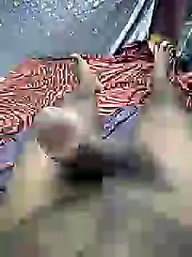 mallucallboy2104 online show from December 30, 7:21 pm