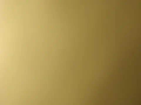 alansteer online show from October 18, 10:20 am