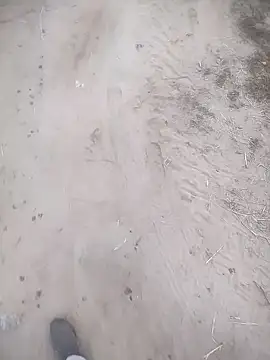 ajaysinghsss online show from November 10, 1:32 am