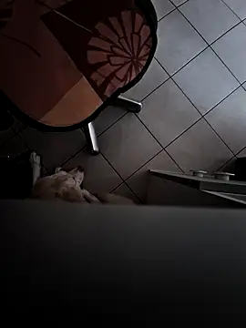 HardWolf2024 online show from December 9, 2:51 pm