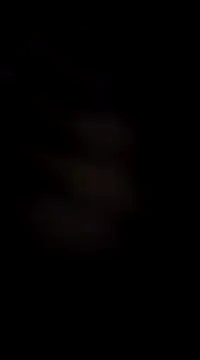 PracticalGum40 online show from December 17, 2:33 am