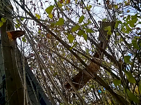 Fuckboy4public online show from November 6, 5:38 pm